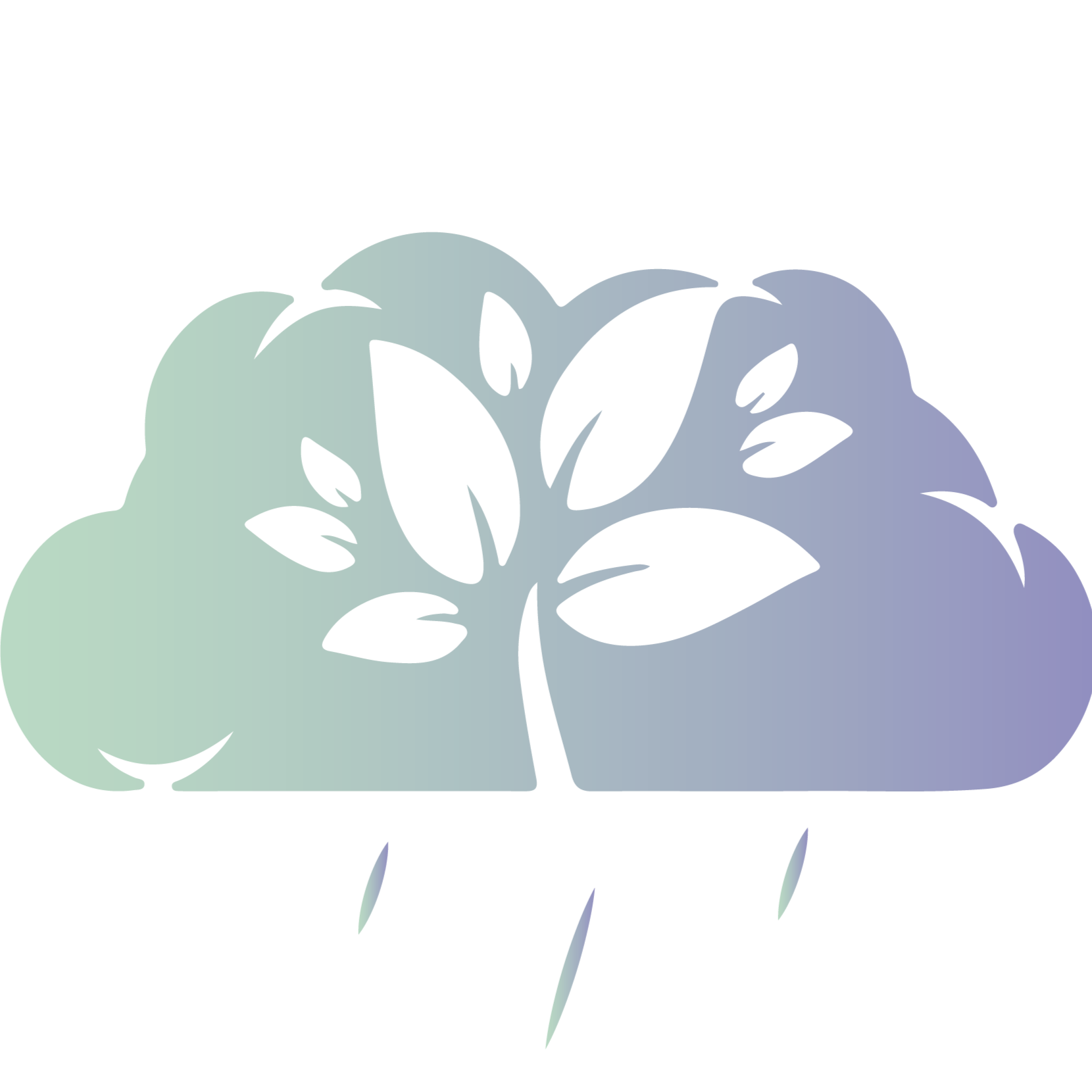 花雨云ico