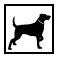 Lycos Mailico