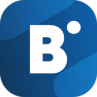 Bidvertiserico