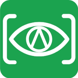 识字体网ico