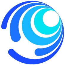 观图数据ico