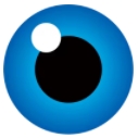 GlobalSignico