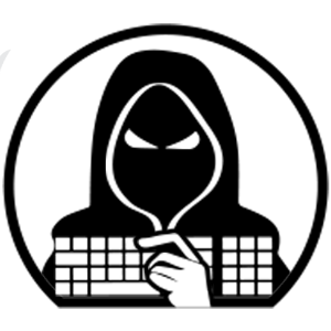 游侠源码网ico