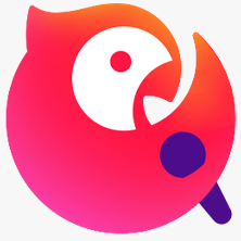 全民K歌ico