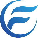飞网ico